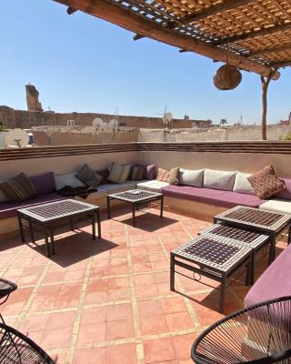 RIAD OF THE STORKS - Exclusive use for up to 17 persons