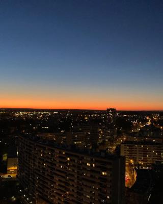 Rennes vue des Horizons