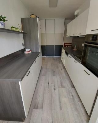 Apartmán Eva - plně vybavený byt - Týn nad Vltavou