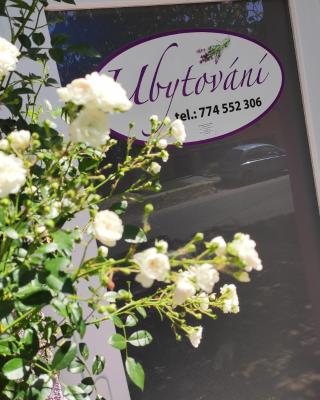 Apartmán Café u Kordulky