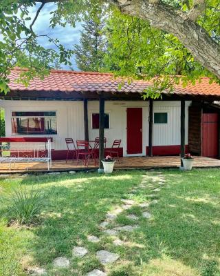 Mobilhome sous chalet en bois à la ferme