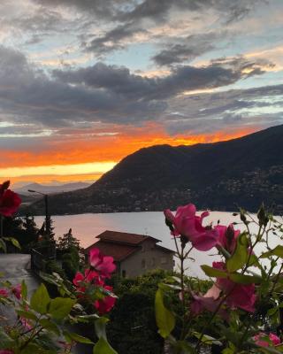 Sunset Feel House