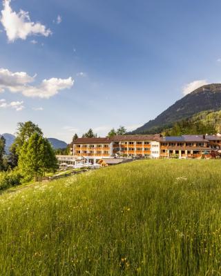 Alm- & Wellnesshotel Alpenhof