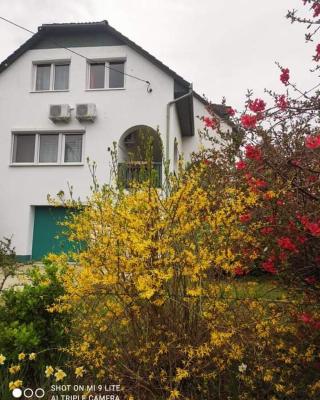 Labdarozsa Apartmanhouse