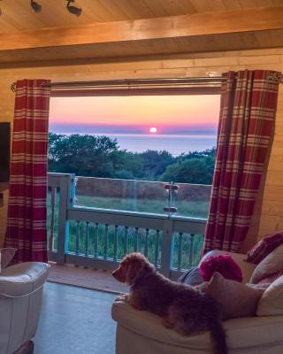 Enlli Fach pet friendly Cabin , sleeps 2 adults 2 children not suitable for contract workers due to parking