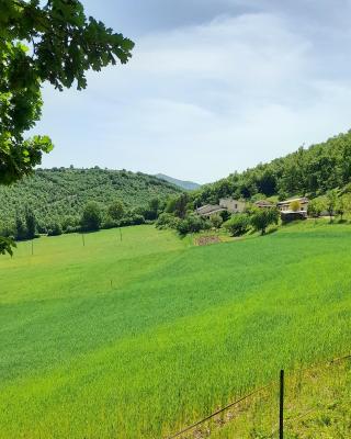 Agriturismo Casale Sant'Antonio