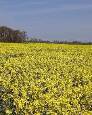Ferienhof mit Bergblick