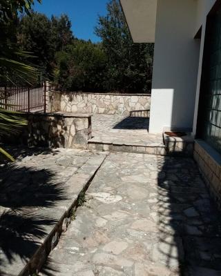 Ruža