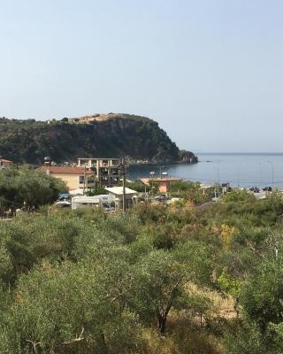 Villa Olivia Grove