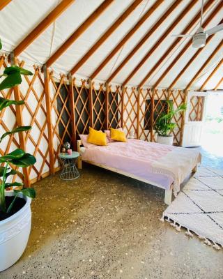 Byron Bay Hinterland Eco-Retreat Ivory Yurt