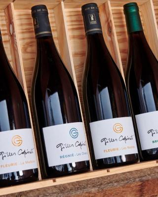 Domaine Gilles Copéret- Artisan-Vigneron- chambres d'hôtes Les Glycines -