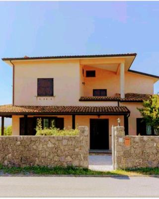 La quercia di Massena