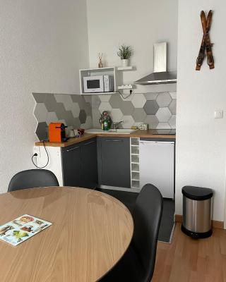 Studio ISARD, wifi et parking gratuit, Navette gratuite au pied de la résidence, possibilité forfait ménage et location linge de lit et toilette, à 10 minutes à pied du centre ville