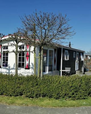 `T Blauwtje Baarland