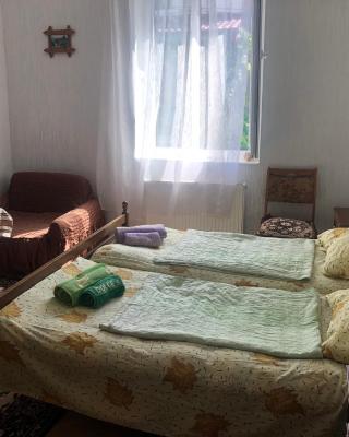 Rimma Homestay