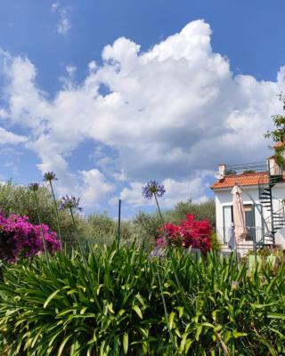 Casa Elianta