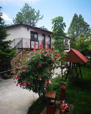Casa TIBI și Nico