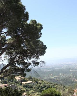 Montecolcau Panoramic view