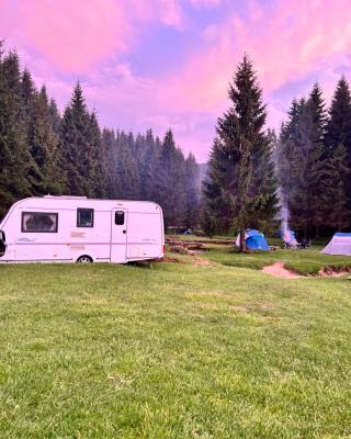 Apusenia Caravan Escape Padiș - Glăvoi