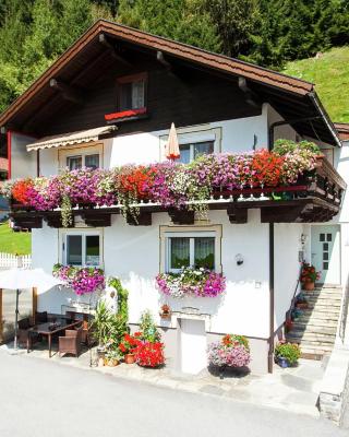 Apartment near the ski area in Stuhlfelden