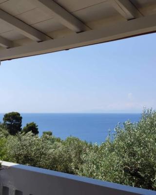 Elia house 1 astoning sea view among the olive trees