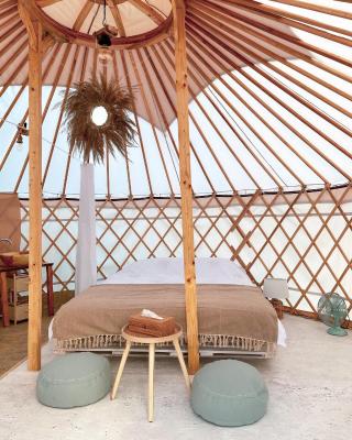 Glamping Iurte Mongole Spiritul Zimbrului