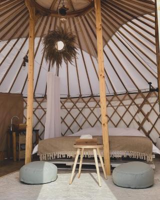 Glamping Iurte Mongole Spiritul Zimbrului