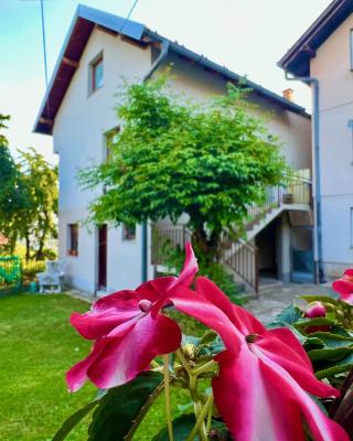 Apartman Amila