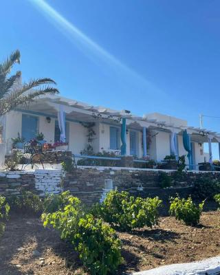 Mihaela Apartments Sifnos