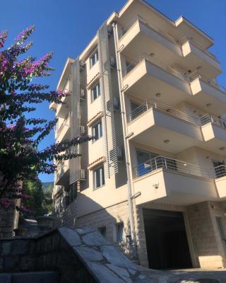 Apartments Rafailović Ljubo