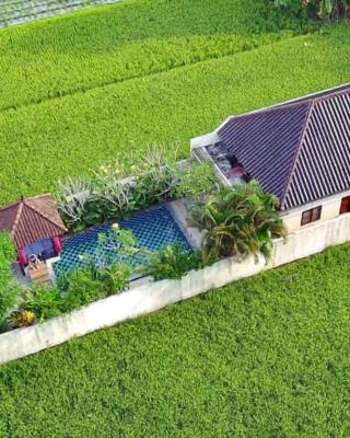 Private pool Villa Sawah Sewon