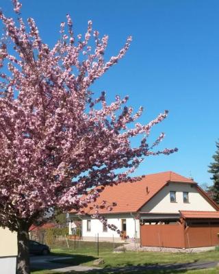 Ferienwohnung Störmthaler See