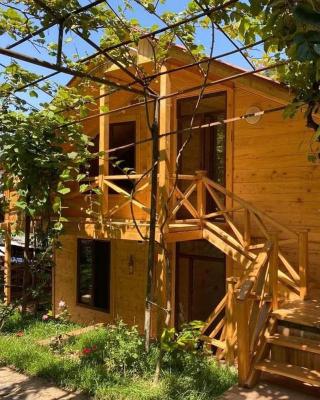 Guest House Okropilauri