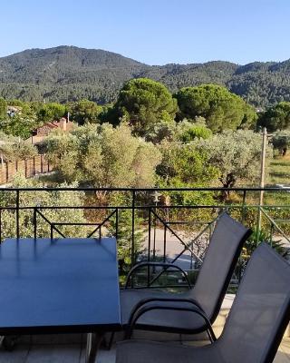 vasso karidi rooms