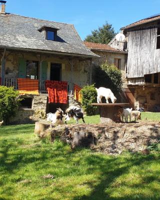 Chez Patoue Gîte