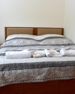 Family home Lipno Lake, Airstay Lipno