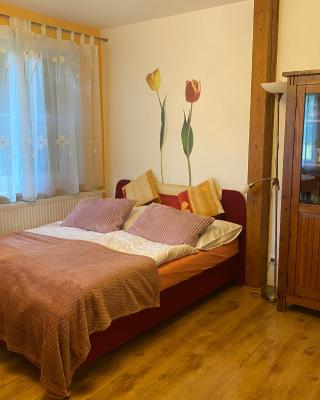 Alba Apartmany Železná Ruda