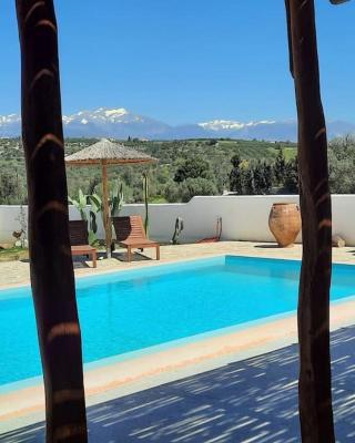 Villa Louloudia stylish luxury villa with private pool