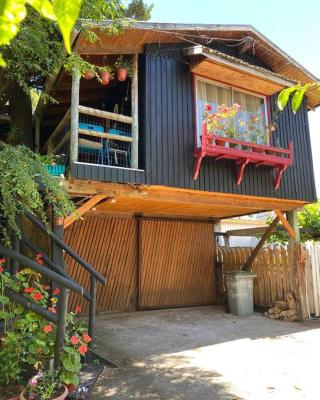 CASA PALAFITO Interior.