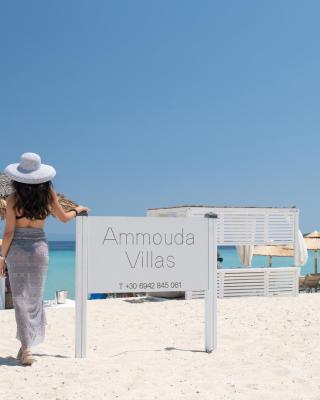 Ammouda Villas