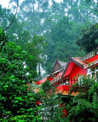 Tea Valley Resort, Munnar