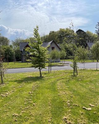 No 2 Ardnagashel Woods