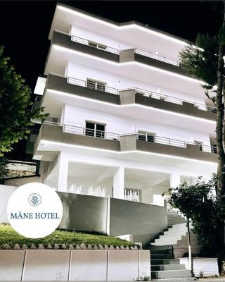 Hotel Mane