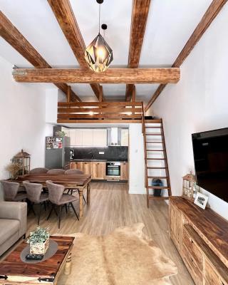 Apartmán Potůček