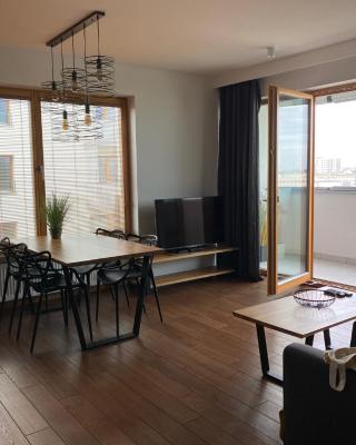 Apartament Rzekotka Zielona Dereniowa 60