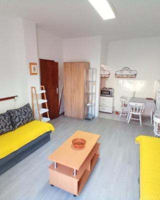 Zica's apartment