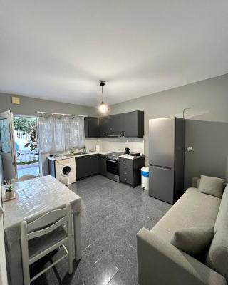Atrium Apartment #2
