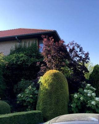 La Clé de la Forêt