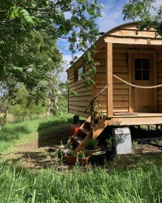 Birkenshaw - Beautiful Shepherd’s Hut in the Highlands.