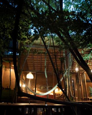 OJO DE ÁRBOL, boutique cabin in the real jungle